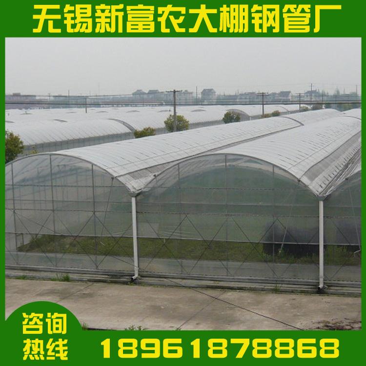 蘑菇大棚 多肉大棚  草莓大棚