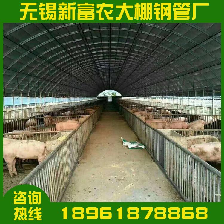 大棚配件薄膜 养猪大棚  养殖大棚