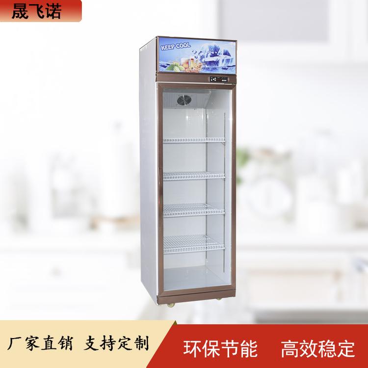 晟飞诺供应啤酒柜 饮料 矿泉水 啤酒冷藏展示柜 单门 双门冷藏展示柜