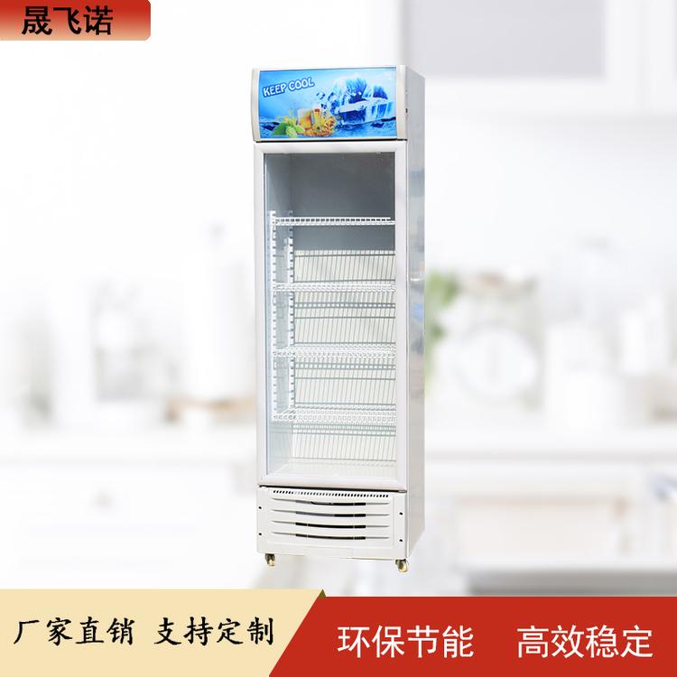 单门啤酒柜 啤酒 饮料 矿泉水冷藏展示柜 立式保鲜展示柜 晟飞诺
