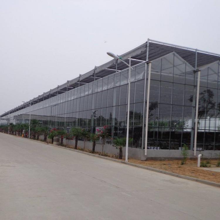 温室大棚 承建各类温室大棚建设