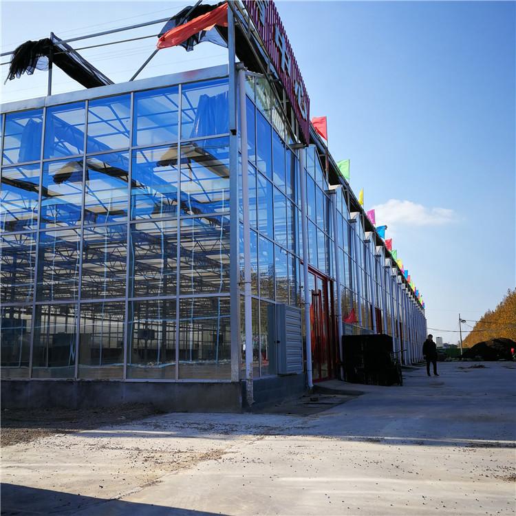 智能温室大棚建设  智能温室大棚工程