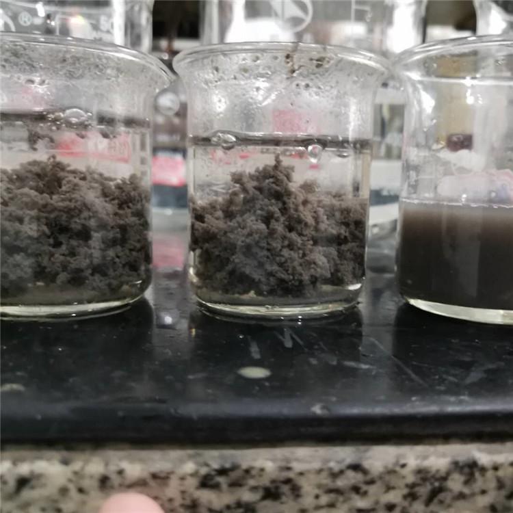 污水处理絮凝沉淀 阳离子聚丙烯酰胺污泥脱水 PAM聚丙烯酰胺价格