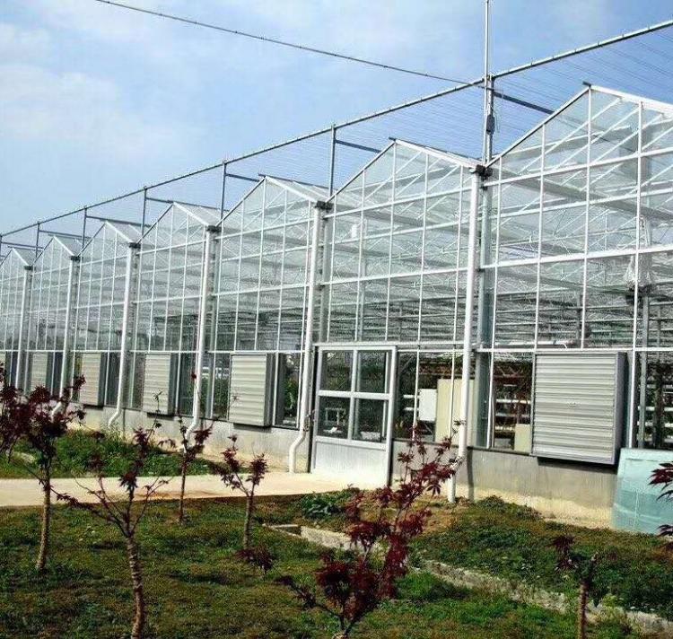 阳光板温室设计 大型阳光板温室工程建设