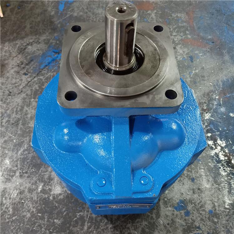 福建渔船配件 齿轮油泵厂家 CBG4250-B2R 大排量渔船油泵供应