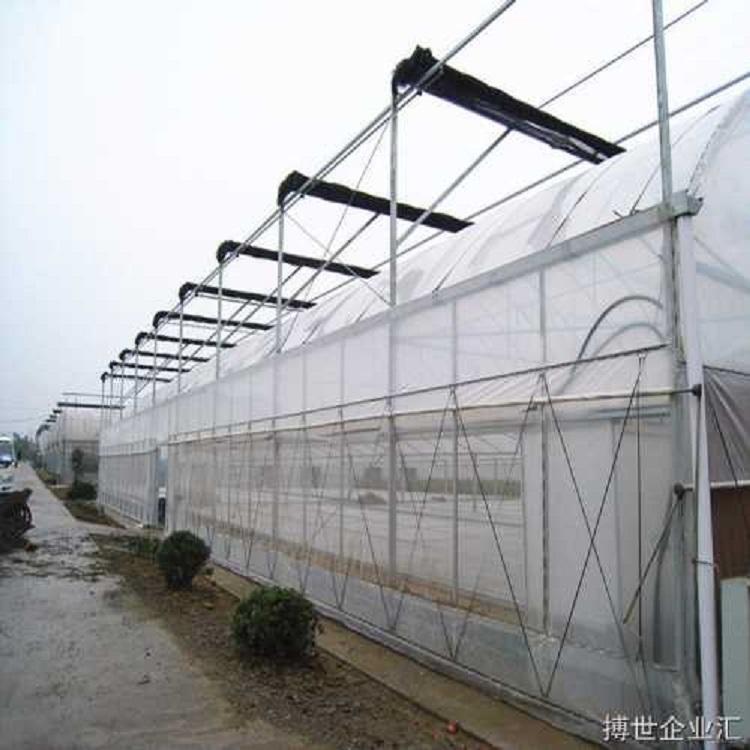 青州阳凯温室标准连栋温室