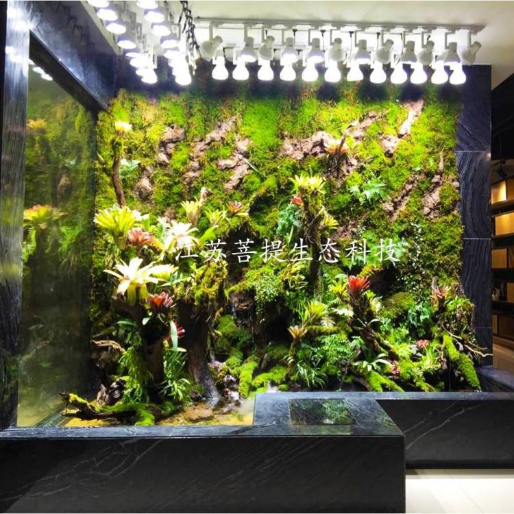 上海室内生态雨林景观 苔藓墙  室内生态造景 水陆缸设计  雨林缸制作