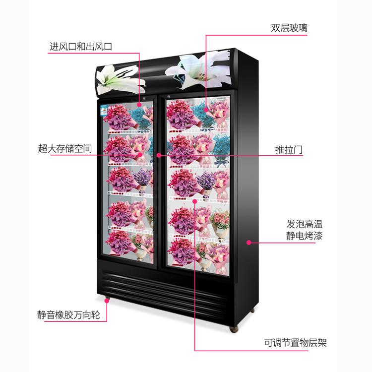 商厨世家鲜花保鲜柜 商用冷藏鲜花柜 透明鲜花柜定制