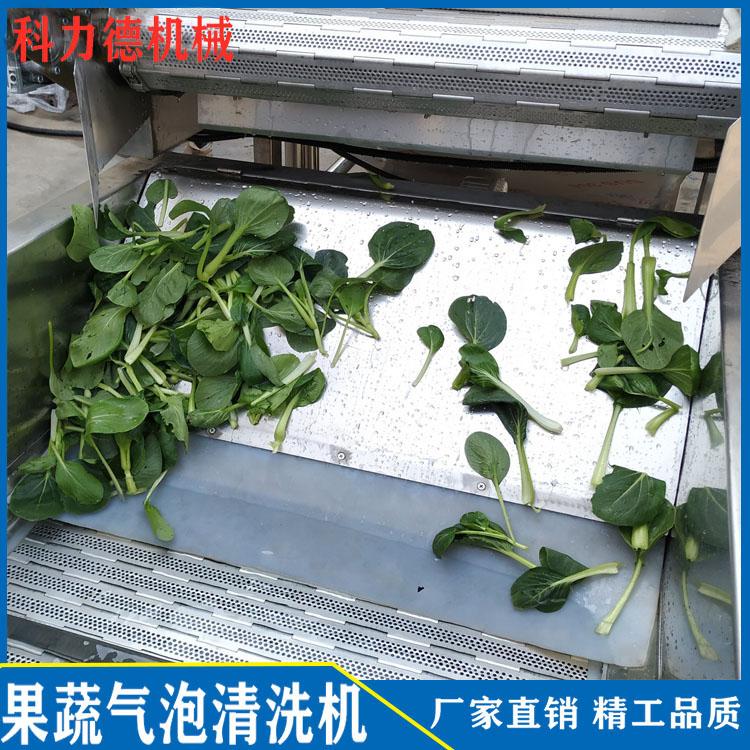 鲜竹笋气泡喷淋清洗机 咸菜脱盐清洗机 腌渍菜脱盐清洗机 果蔬喷淋式清洗机