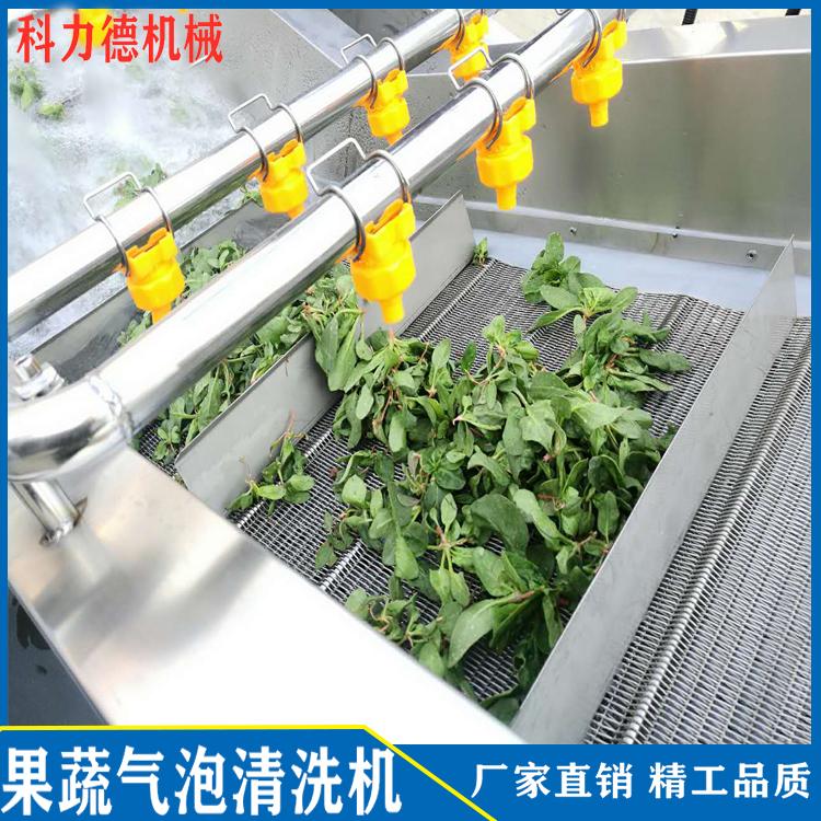 供应咸菜脱盐清洗机 酱腌菜咸菜脱盐浸泡清洗机 全自动气泡翻浪清洗机 净菜加工设备