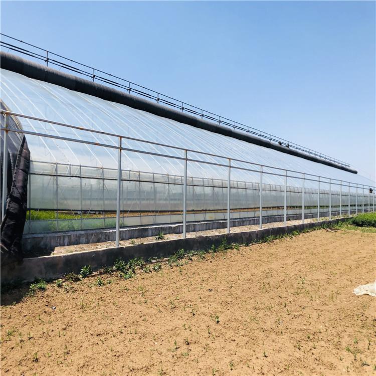 日光智能温室大棚工程 日光温室大棚骨架