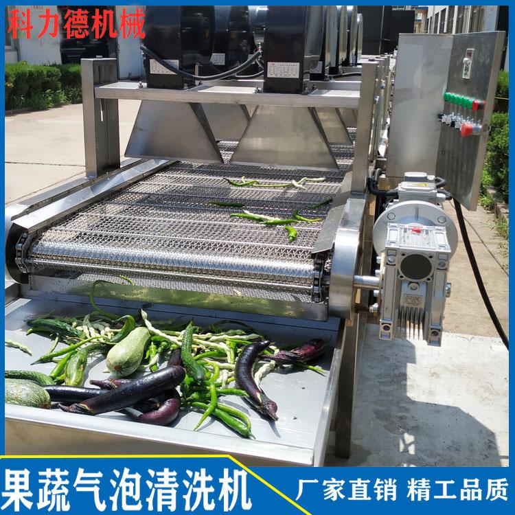 热销芦荟连续式清洗机 高压喷淋式芦荟清洗机 高效鱼腥草清洗机 蒲公英根清洗机
