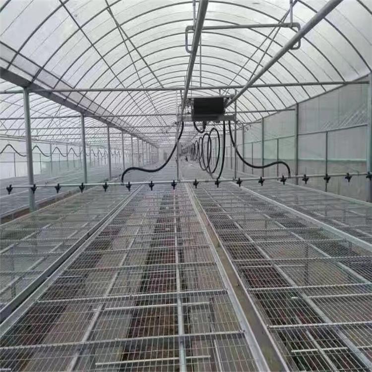 连栋温室大棚建设 连栋温室大棚厂家