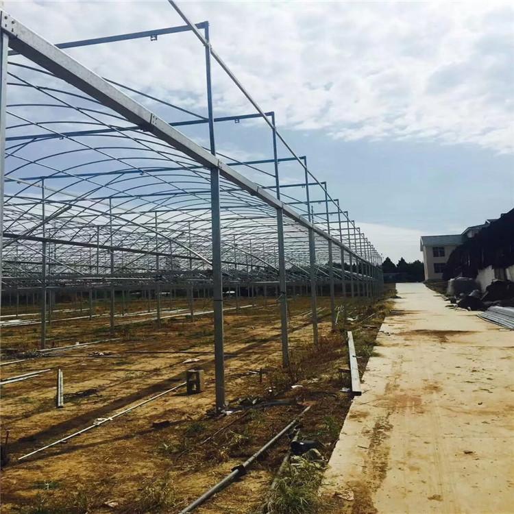 蔬菜温室大棚 蔬菜温室建设