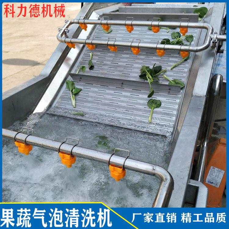 鼓泡翻浪清洗机厂家 艾草清洗机 菊芋喷淋清洗机 牛蒡气泡清洗机中药材清洗机价格优惠