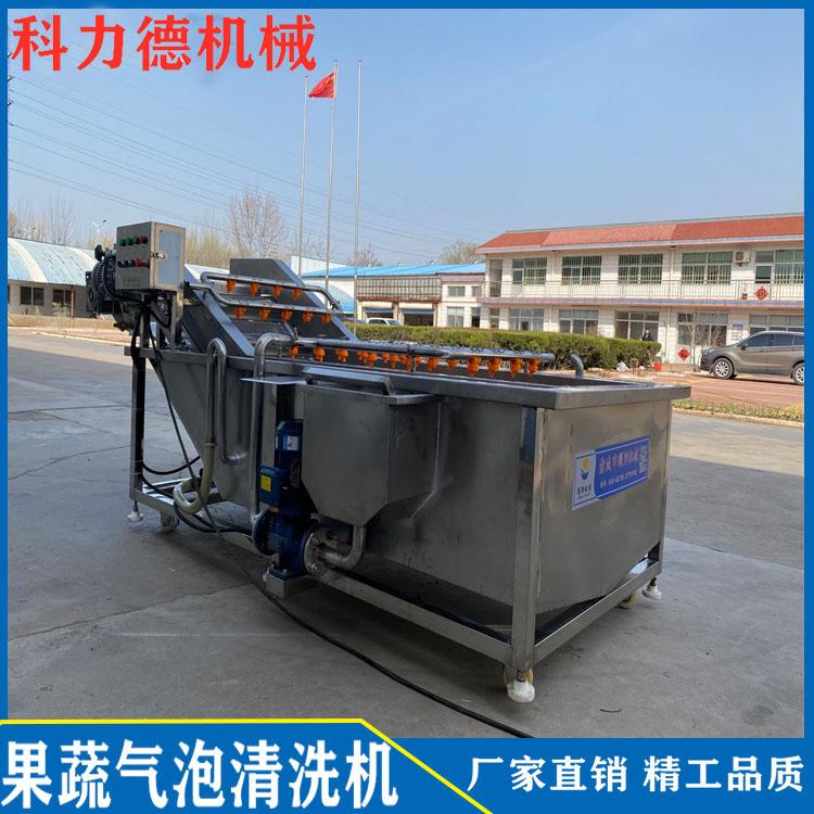 生产辣椒气泡喷淋清洗机 菊芋喷淋清洗机 空心菜龙须菜清洗机 中药材清洗机批发价格