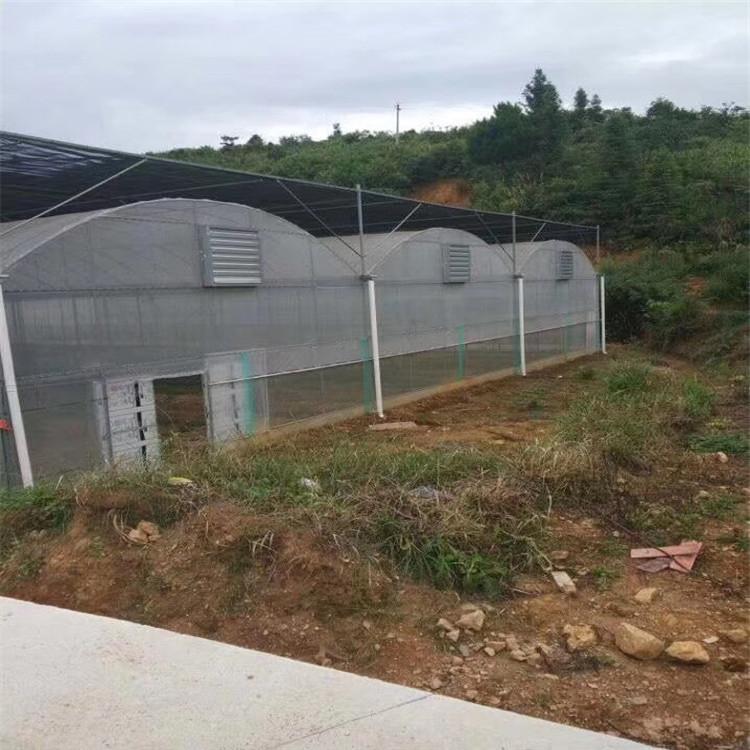 山东薄膜温室建设-山东连栋温室价格