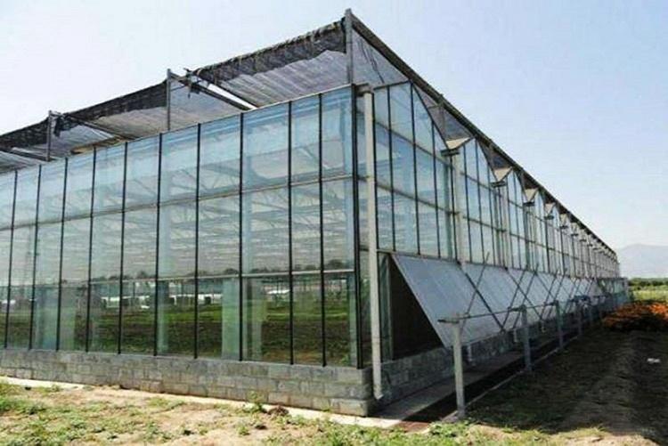 智能玻璃温室承建 玻璃温室报价 阳凯玻璃温室