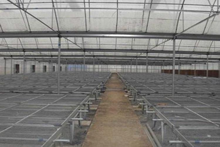 连栋薄膜温室大棚 薄膜连栋温室大棚工程 连栋薄膜温室报价