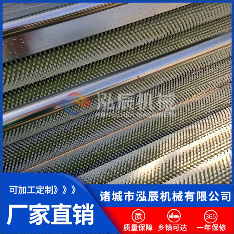 泓辰供应红薯毛辊磨皮机 青萝卜九辊清洗机 根茎类果蔬清洗机 现货包邮