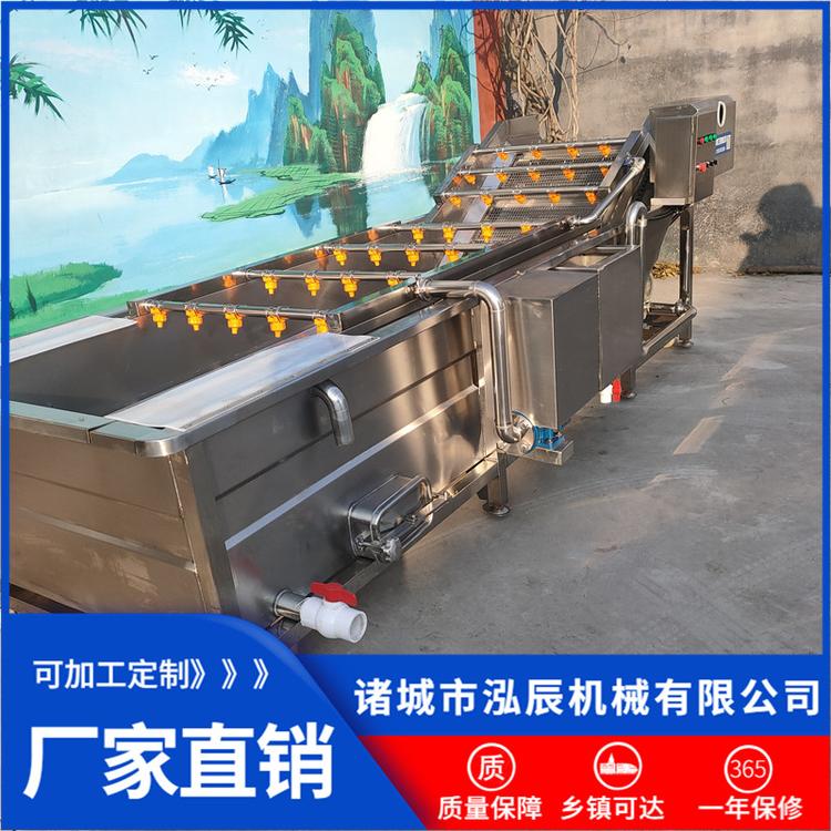 供应不锈钢果蔬气泡清洗机 全自动药材清洗烘干流水线 蔬菜清洗机厂家