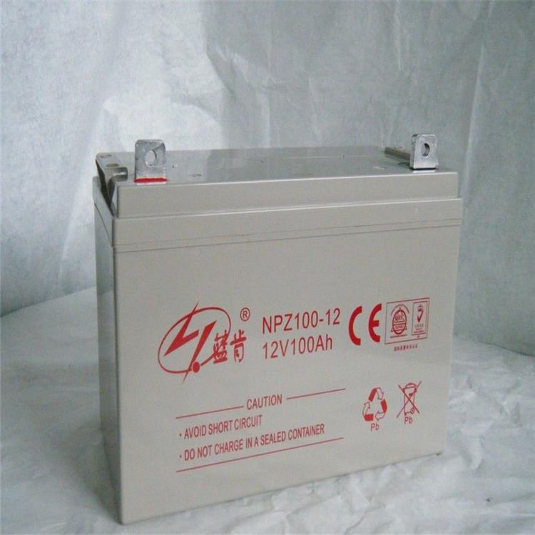 蓝肯蓄电池NP80-12 12V80AH UPS 直流屏电源专用阀控式密封免维护铅酸蓄电池
