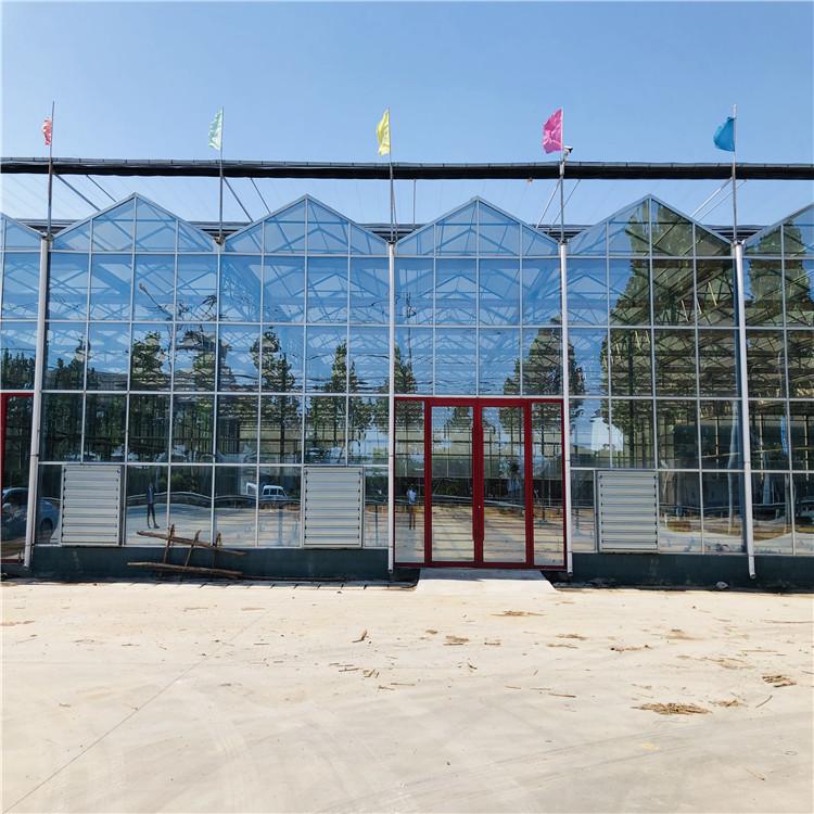 智能温室大棚建设 智能温室价格 智能温室大棚出价