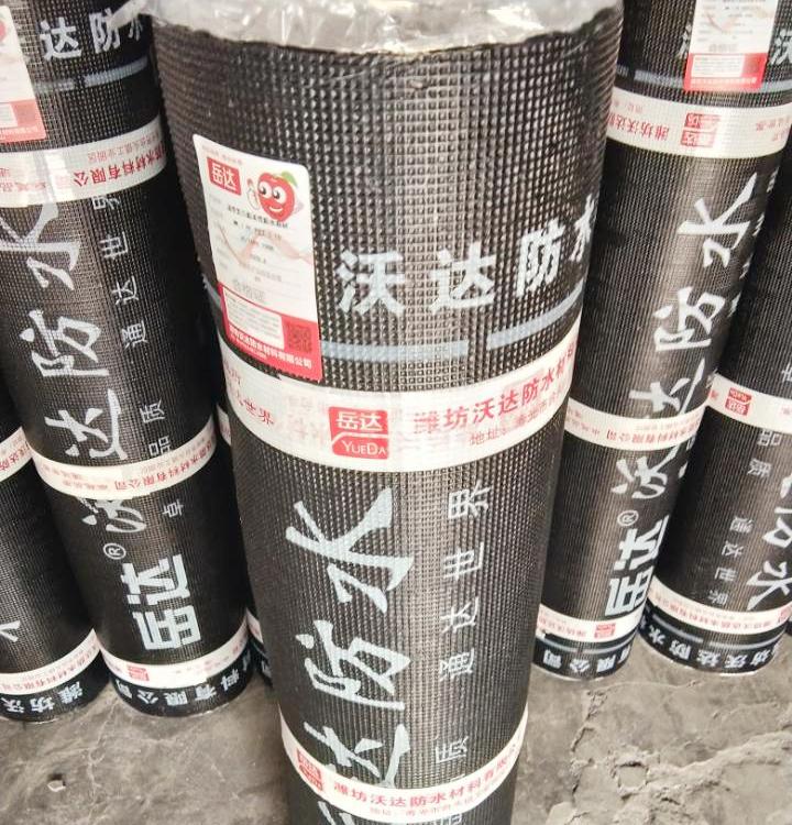 常年批发非沥青SBS防水卷材 沃达防水 耐高温sbs防水卷材价格实惠