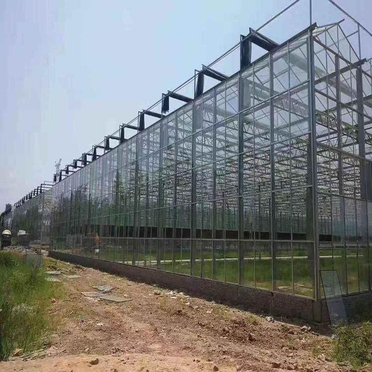 鋆成兴达承建玻璃温室工程 免费设计安装 温室大棚材料配件