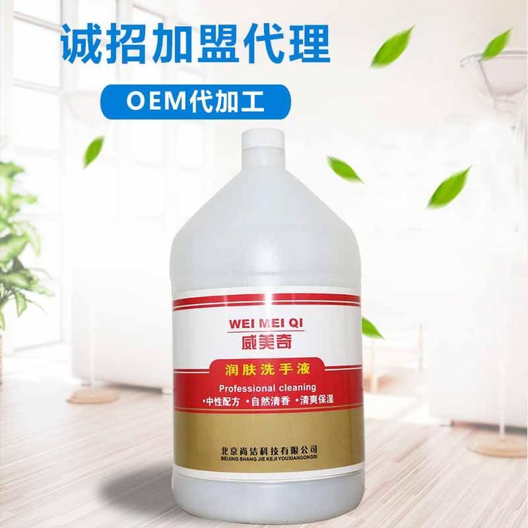 抑菌洗手液批发厂家 去油渍且抑菌