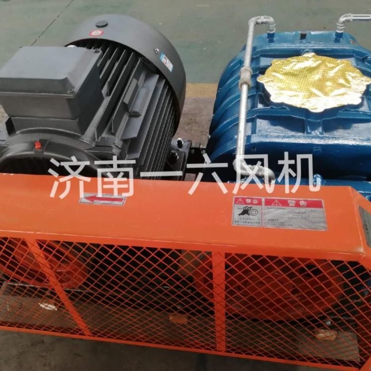 双油箱气力输送罗茨鼓风机生活污水处理风机增氧用罗茨风机价格