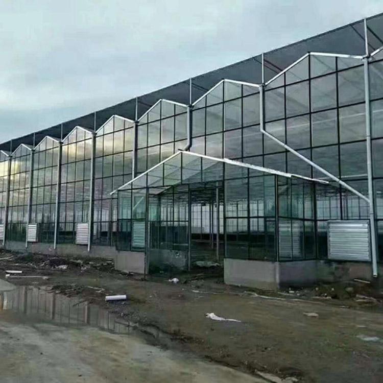 山西玻璃连栋大棚 玻璃温室报价 欢迎您的致电