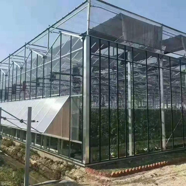 山西玻璃温室 玻璃温室造价 质量可靠