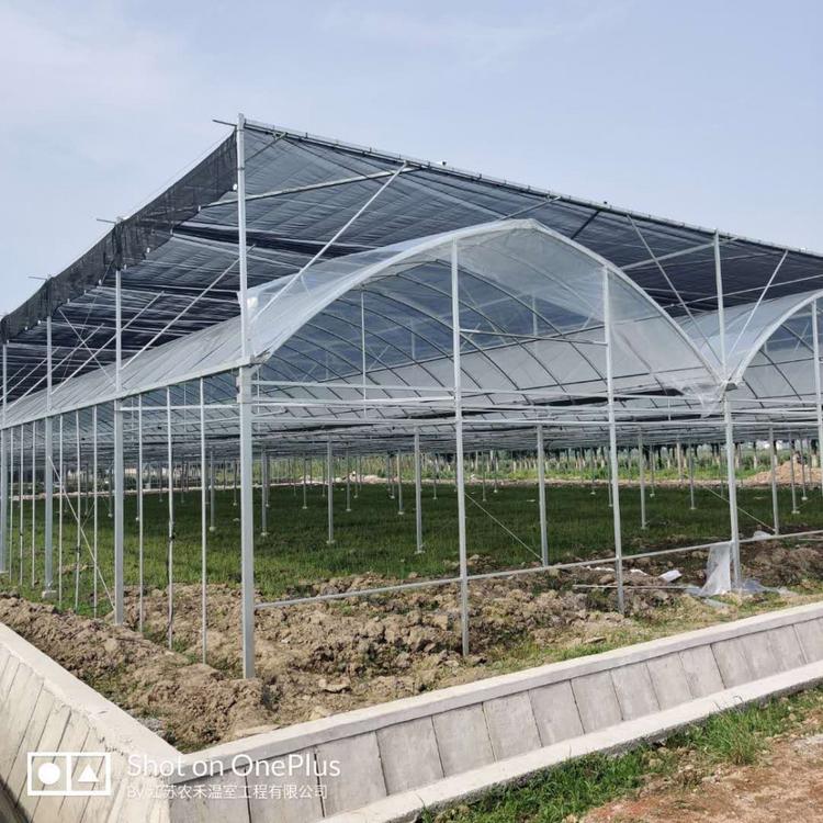 梧州8432连栋温室大棚实体厂家  葡萄避雨棚 外遮阳连栋大棚  锯齿连栋棚