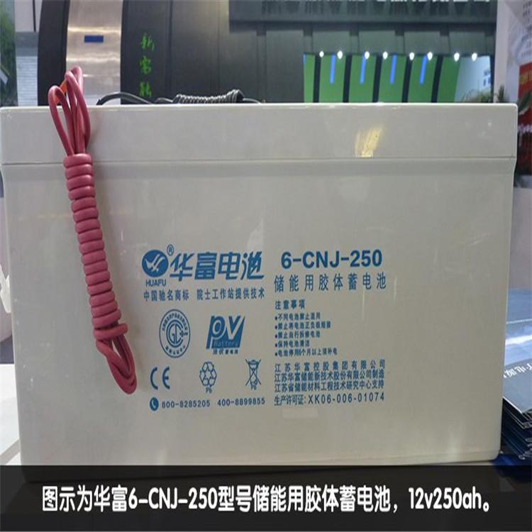 华富蓄电池6-CN-65 12V65AH 路灯太阳能免维护储能蓄电池蓄电池