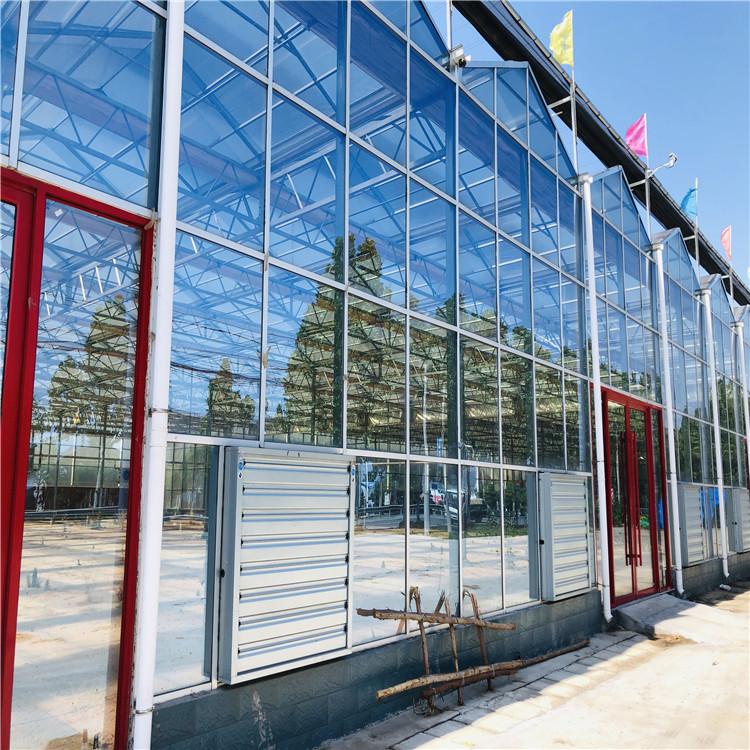 专业玻璃温室大棚厂家 承建玻璃温室大棚工程
