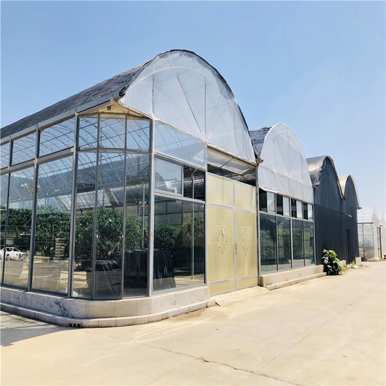 智能温室大棚建设 智能温室价格 智能温室大棚造价