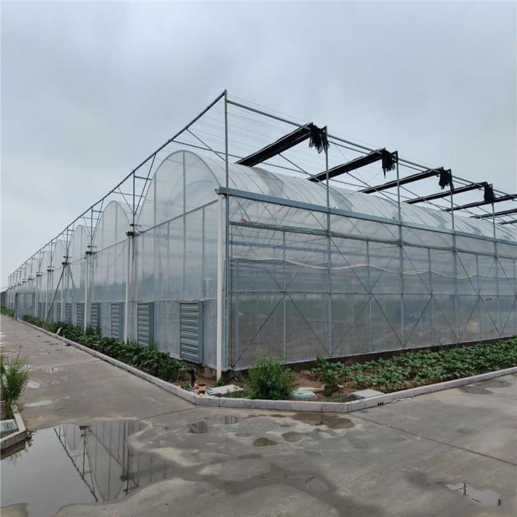 承建连栋薄膜温室大棚 连栋薄膜温室大棚工程