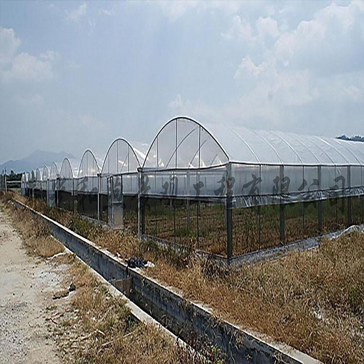 温室大棚 冬暖式温室 日光温室大棚设计
