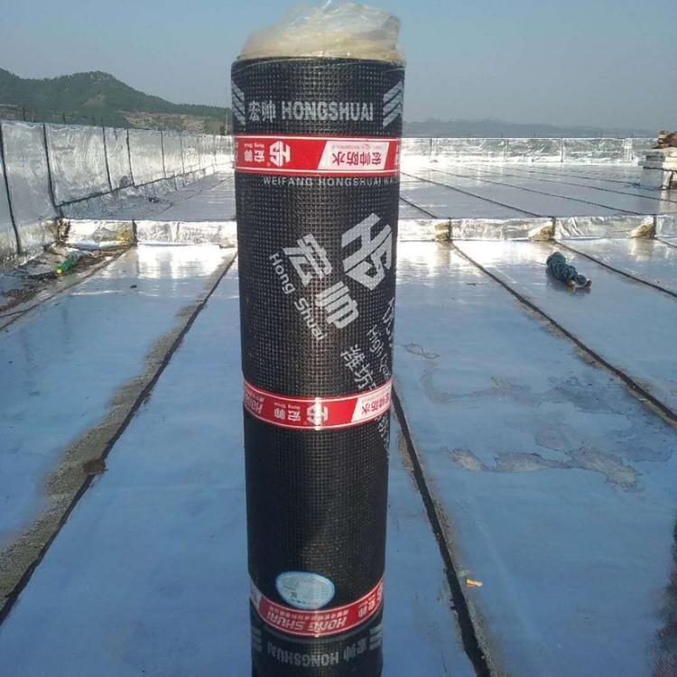 宏帅防水生产聚酯胎sbs防水卷材   聚酯胎sbs防水卷材供应商
