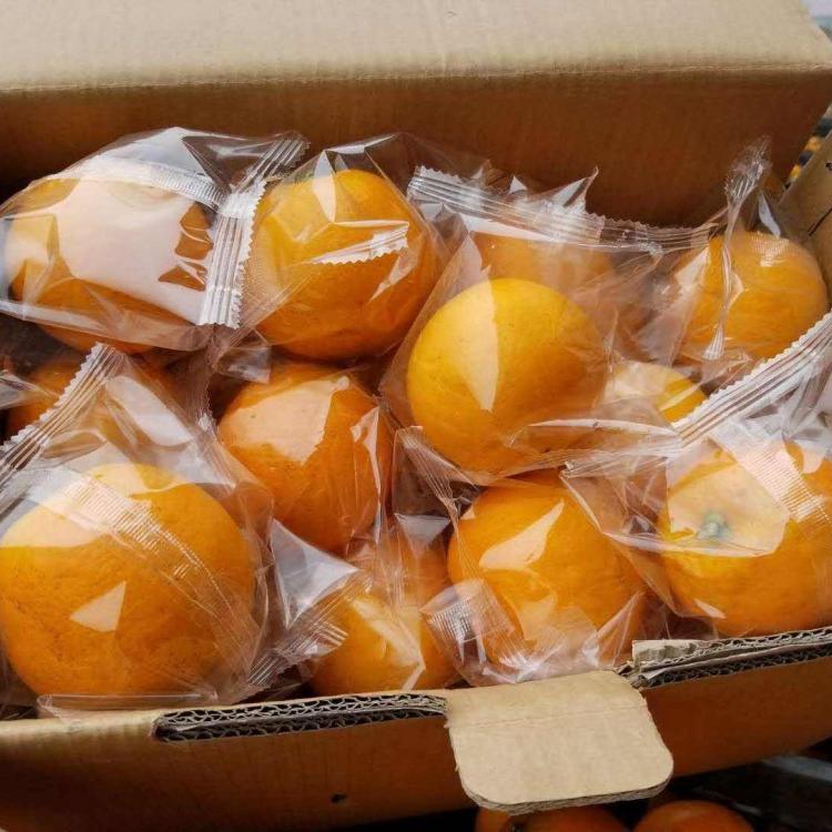 橙子枕式自动包装机供应厂家
