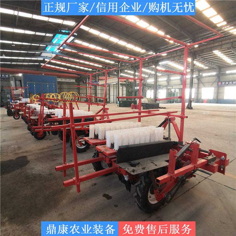 西红柿移栽机 欢迎咨询 山东移栽机厂家