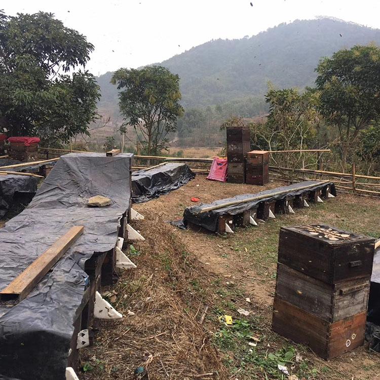 肇庆黑地膜厂家 养殖场用覆盖布 经验丰富 推荐源滔达