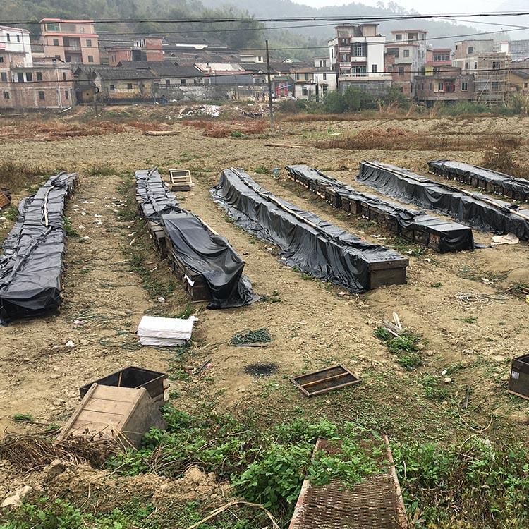 珠海育秧育苗 覆盖布厂家 价格实惠 源滔达