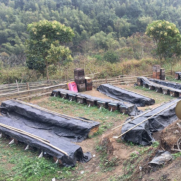 云南育秧育苗 覆盖布批发商 价格实惠 推荐源滔达