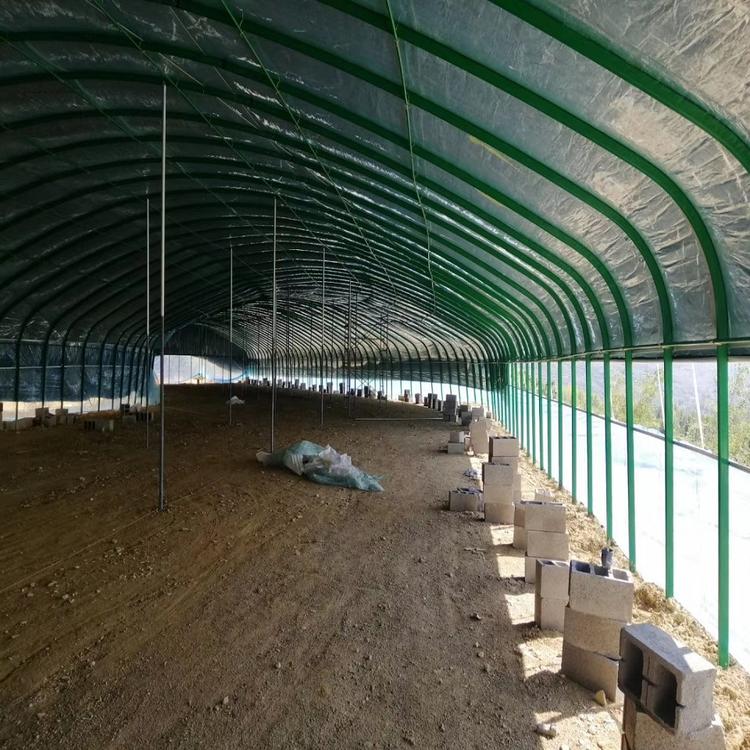 永金养殖大棚养殖温室建设信誉保障