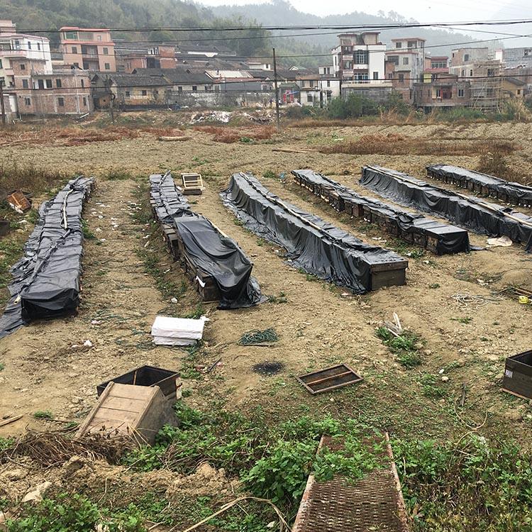 肇庆黑地膜厂家 养殖场用覆盖布 精益求精 推荐源滔达