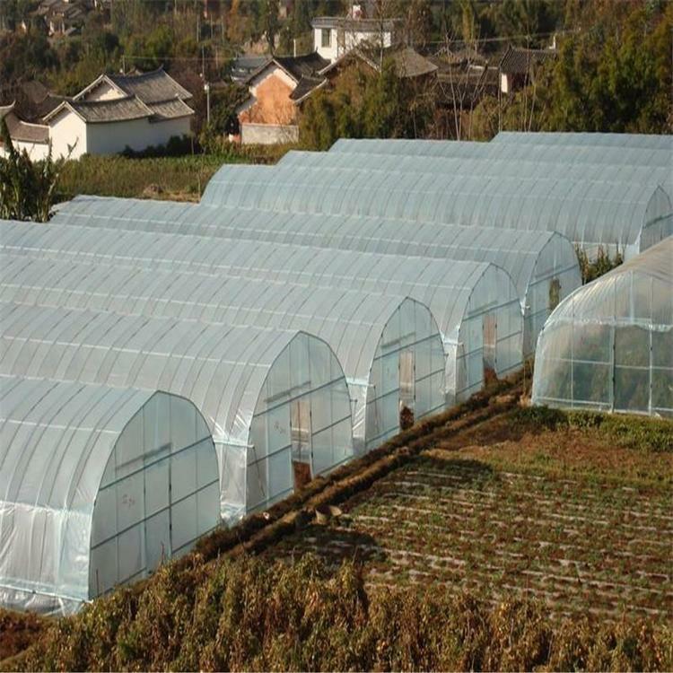 支持定制日光温室大棚 智能日光温室工程 热镀锌大棚骨架 欢迎咨询鋆成兴达
