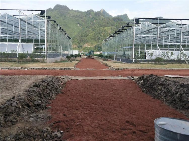 生态园艺餐厅 潍坊生态餐厅定制 阳光生态餐厅建造  博盛温室