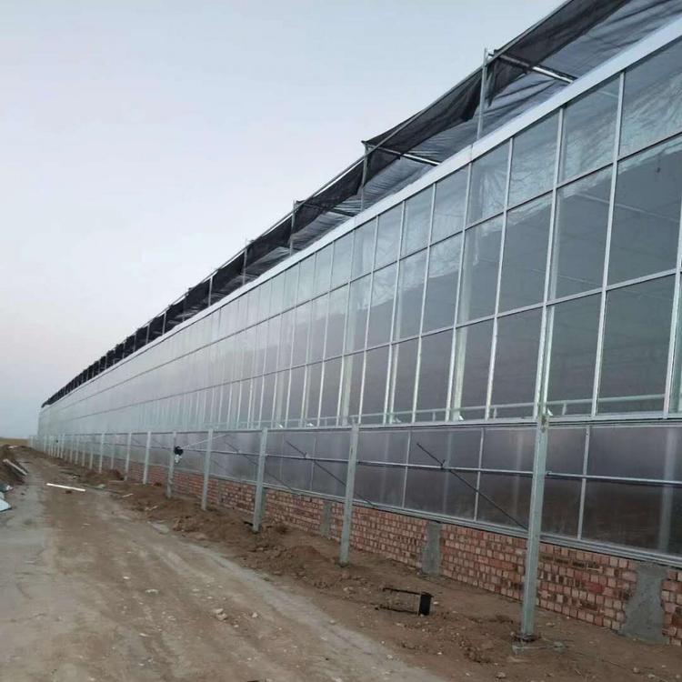 阳光板温室大棚建设 阳光板温室大棚造价咨询